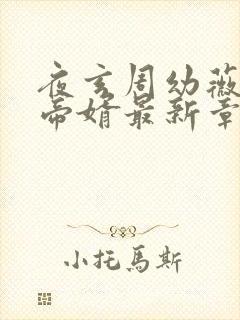 夜玄周幼薇万古帝婿最新章节