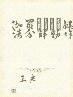 伽罗あちゃん腿法分解动作