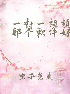 一对一视频聊天那个软件好玩