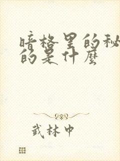 暗格里的秘密讲的是什么