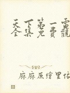 天下第一电视剧全集免费观看高清