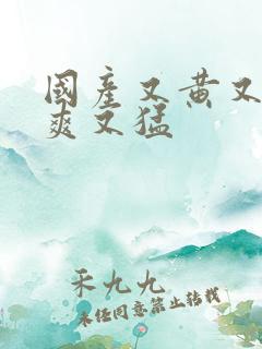 国产又黄又粗又爽又猛