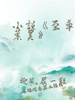 小说《至尊神婿叶昊》