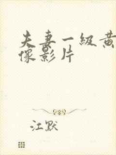 夫妻一级黄色录像影片