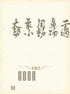 大象用鼻子搭桥帮小动物过河看图写话