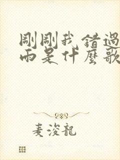 刚刚我错过的大雨是什么歌