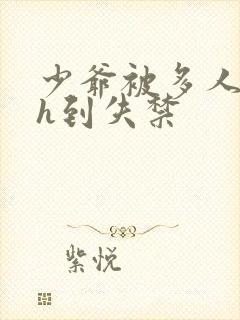 少爷被多人玩弄h到失禁