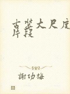 古装大尺度床戏片段