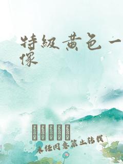 特级黄色一级录像
