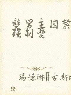 双男主囚禁调教强制爱