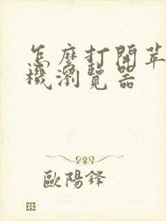 怎么打开苹果手机浏览器