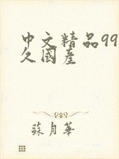 中文精品99久久国产