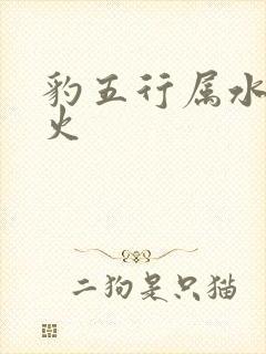 豹五行属水还是火