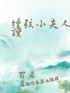 续弦小夫人 阅读