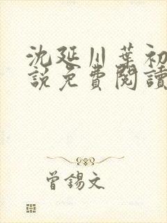 沈延川叶初裳小说免费阅读