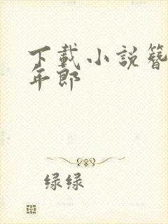 下载小说簪花少年郎