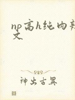 np高h纯肉辣文