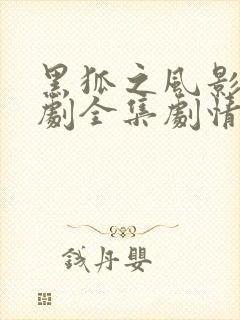 黑狐之风影电视剧全集剧情在线看