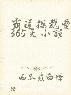 霸道总裁爱上我365天小说