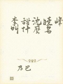 李甜沈晓峰小说叫什么名