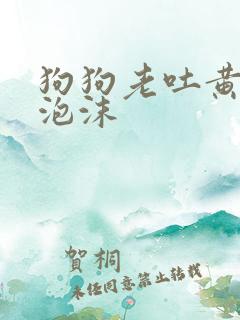 狗狗老吐黄水带泡沫