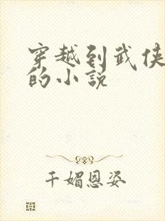 穿越到武侠世界的小说