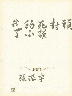 我的死对头破产了小说