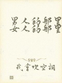 男人的那里插进女人的那里