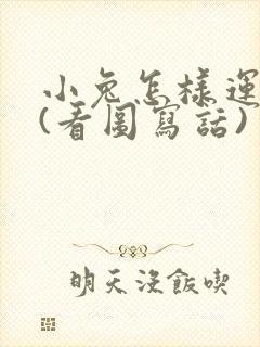 小兔怎样运南瓜(看图写话)