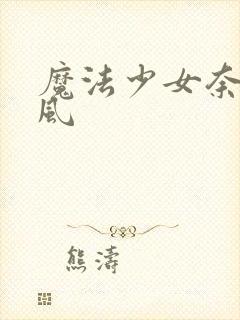 魔法少女奈叶疾风