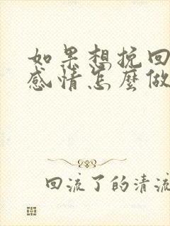 如果想挽回一段感情怎么做