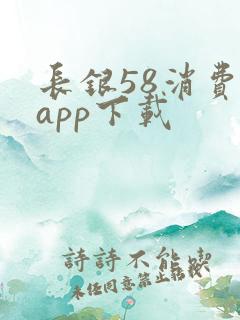 长银58消费贷app下载