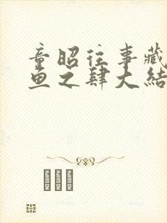 童昭往事藏匿枯鱼之肆大结局哪里看