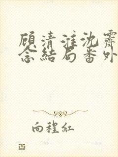 顾清淮沈霁禾乔念结局番外