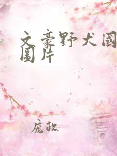 文豪野犬国木田图片