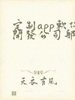 定制app软件开发公司那家好