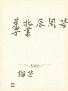 叶北辰周若妤电子书