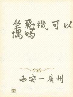 坐飞机可以带玩偶吗