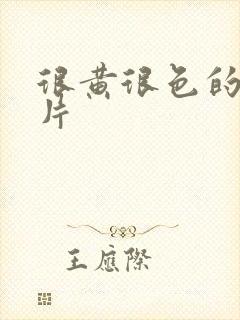 很黄很色的动作片