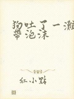 狗吐了一滩黄水带泡沫