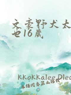 文豪野犬太宰中也16岁