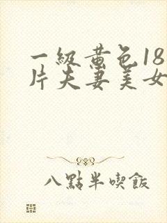 一级黄色18岁片夫妻美女