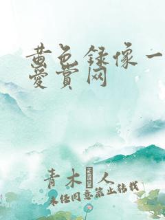 黄色录像一级片爱赏网