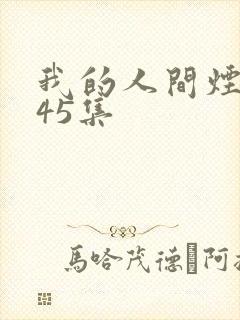 我的人间烟火第45集