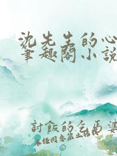 沈先生的心头宝笔趣阁小说