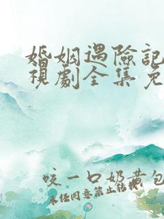 婚姻遇险记 电视剧全集免费观看