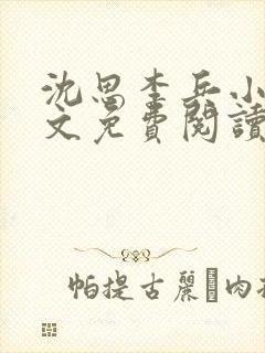 沈思李兵小说全文免费阅读