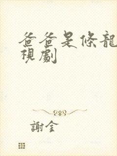 爸爸是条龙 电视剧