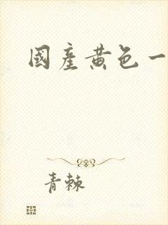 国产黄色一级片