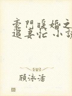 豪门暖婚之四爷追妻忙 小说